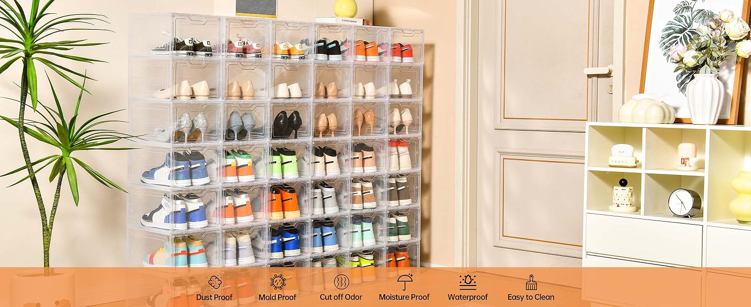 Clear Shoe Storage Organizer