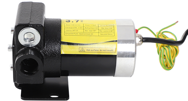 Self-priming Gasoline Fuel Oil Transfer Pump with Reversible Pumping