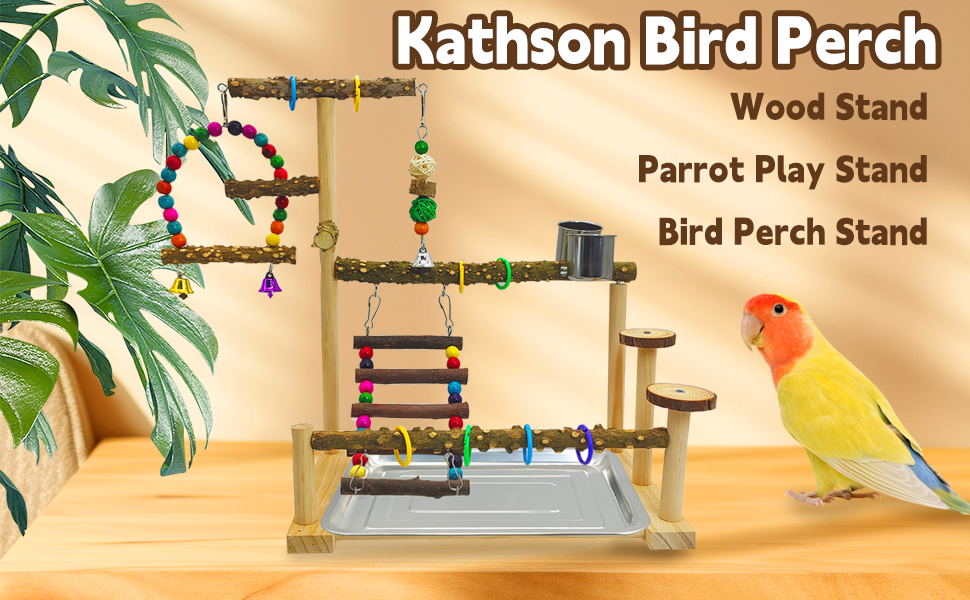 small bird playground