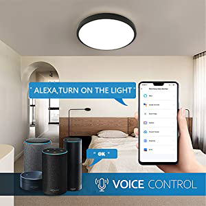 Sprachkontrolle: Kompatibel MIT Alexa und Google Assistent