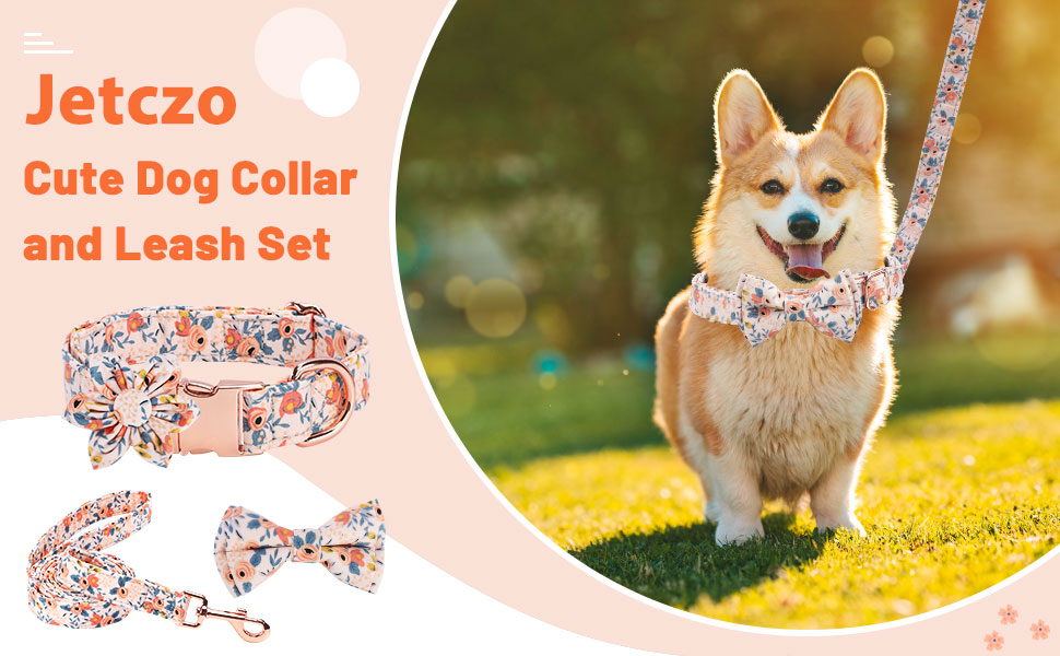 Dog Collar and Leash Set Girl with Flower Bow Tie 4PCS