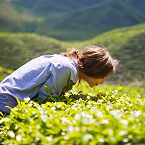 Small manufacture image 4