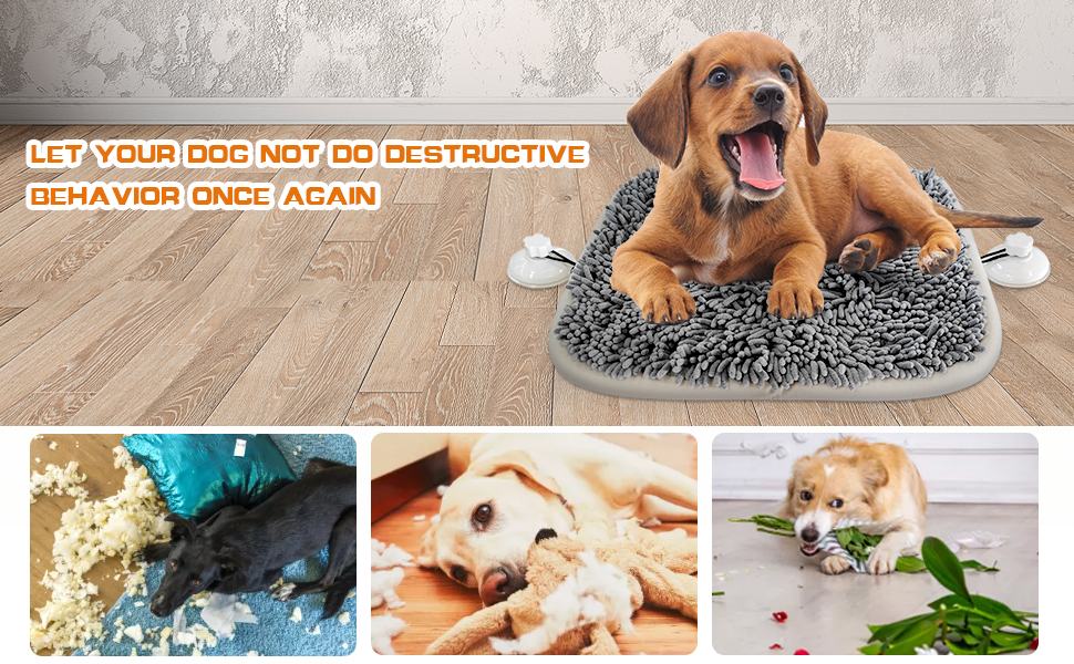 Let your dog not do destructive behavior once again