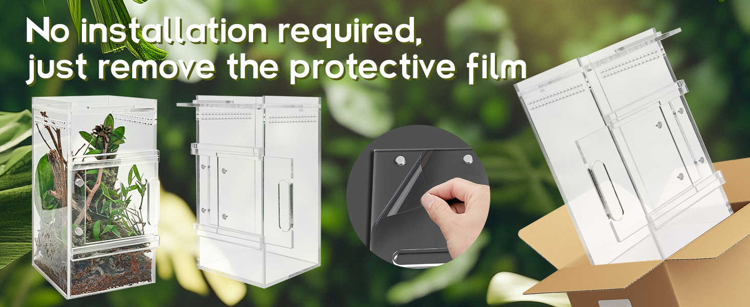 jumping spider enclosure