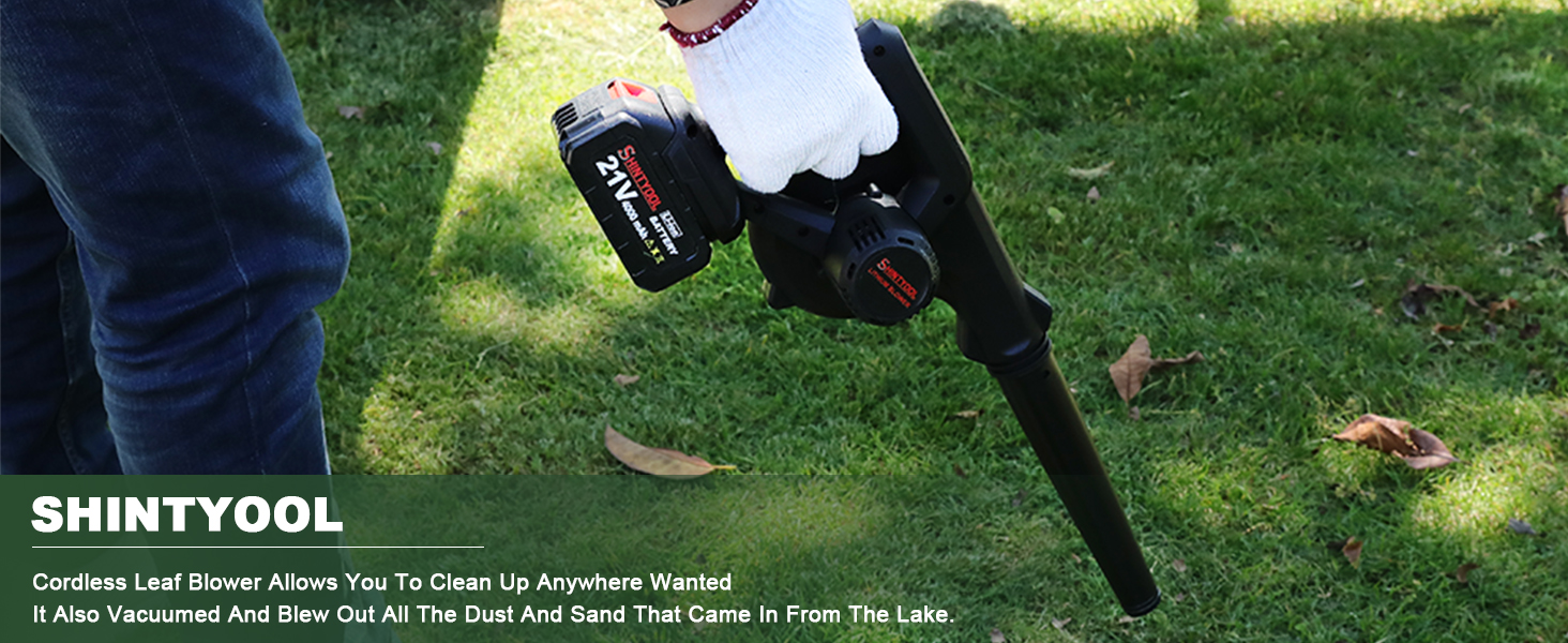 Cordless Leaf Blower Allows You To Clean Up Anywhere Wanted
