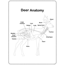 Small manufacture image 8