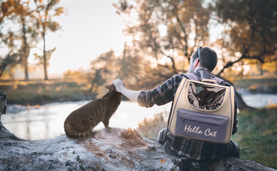 crate dog carriers for small dogs cat carrier