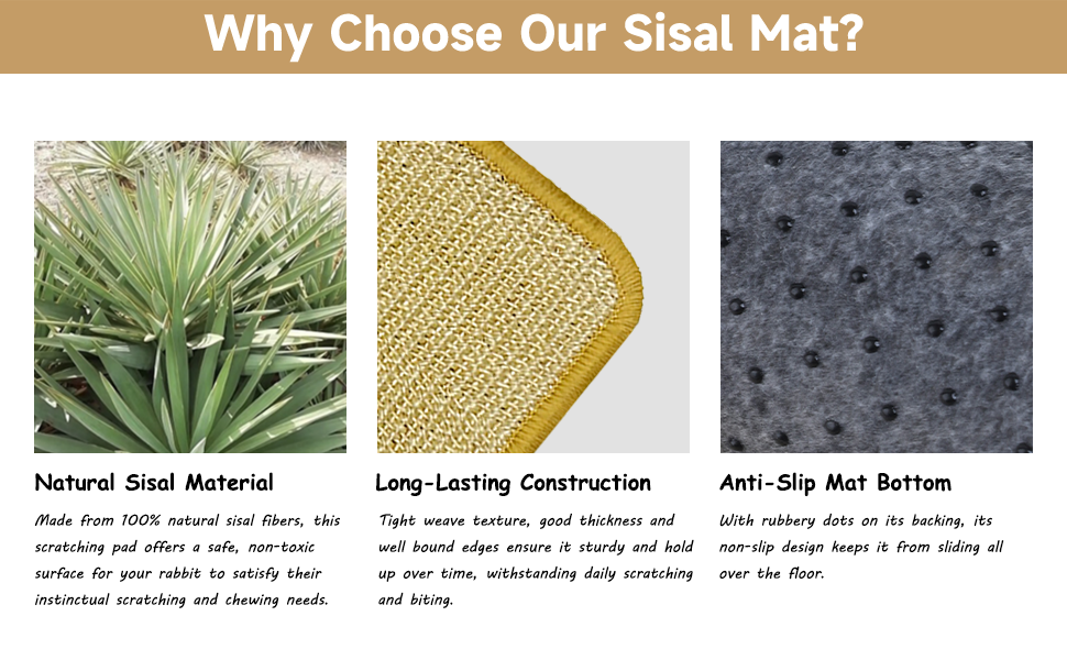 Bunny Scratch Pad Features