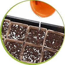seed starter tray