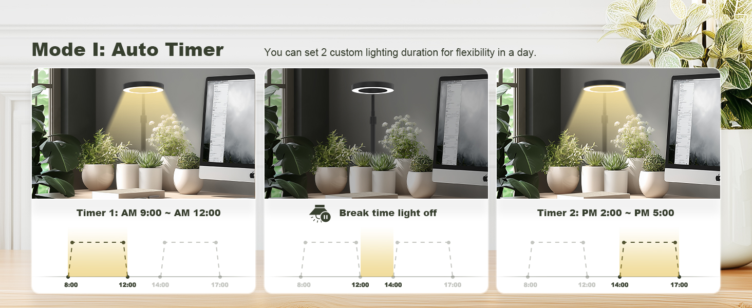 Auto Timer