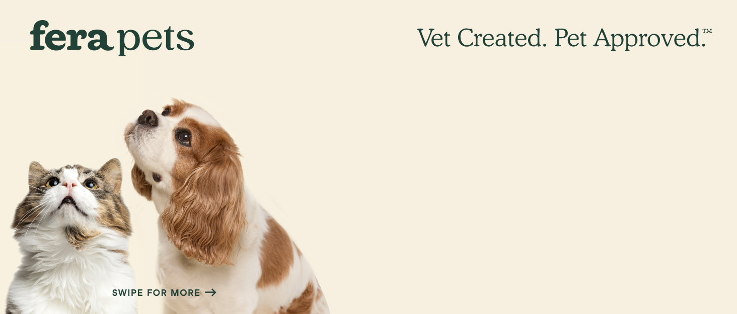 Dog and Cat Background