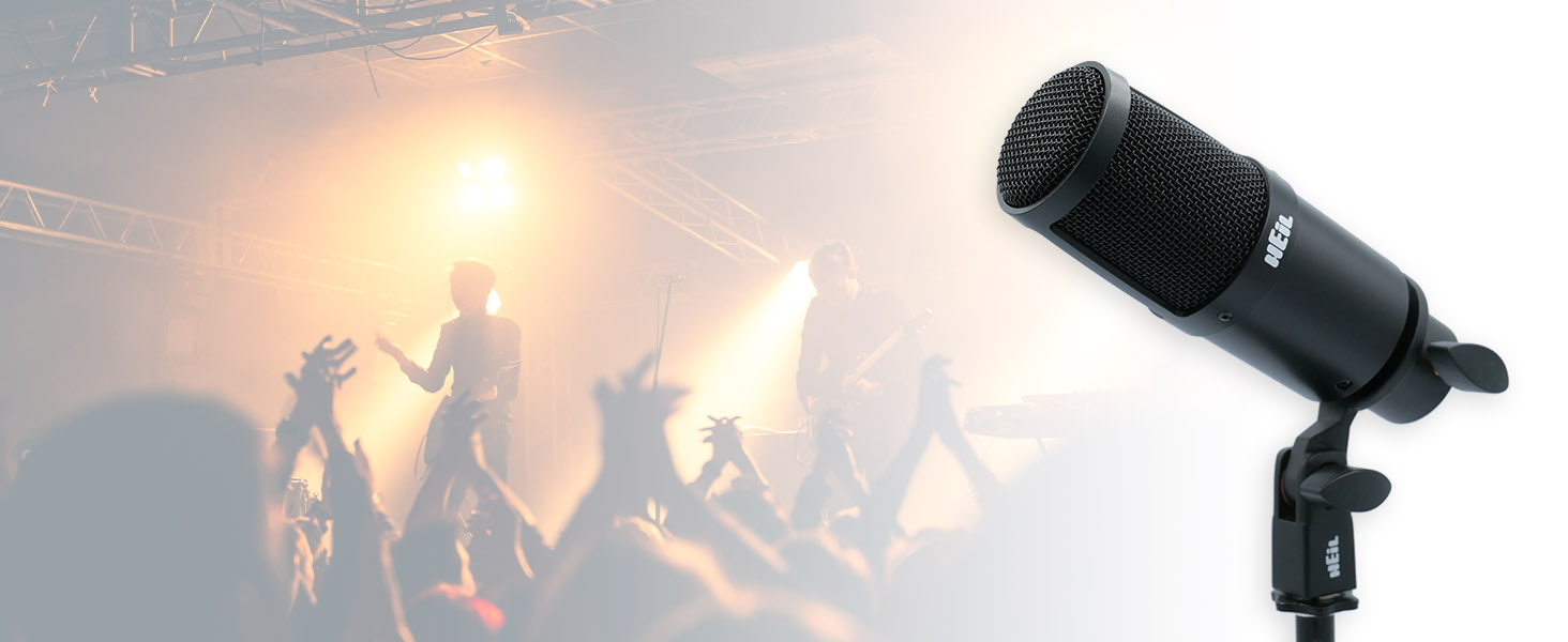 Heil PR 30 Dynamic XLR-Microphone for Video Podcast, Live Sound, Recording