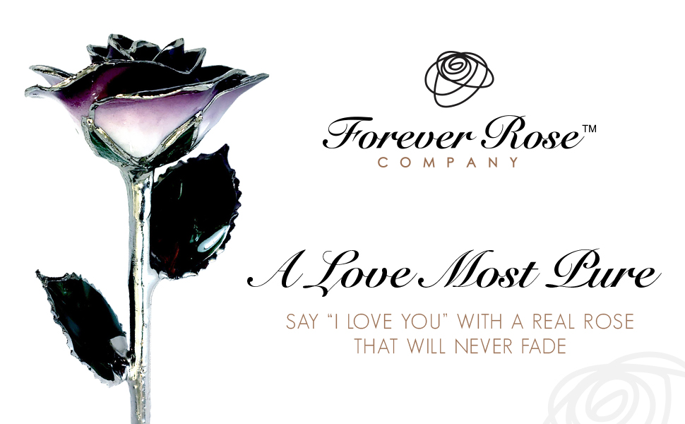 Platinum Purple Rose by Forever Rose Platinum Trimmed