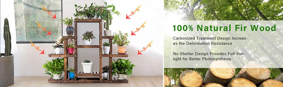 Bonsai Display Shelf Indoor Outdoor