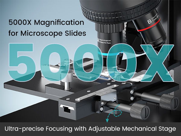 miiページ miiページ mii☆ zxzxbeard | My Miis Wiki | Fandom