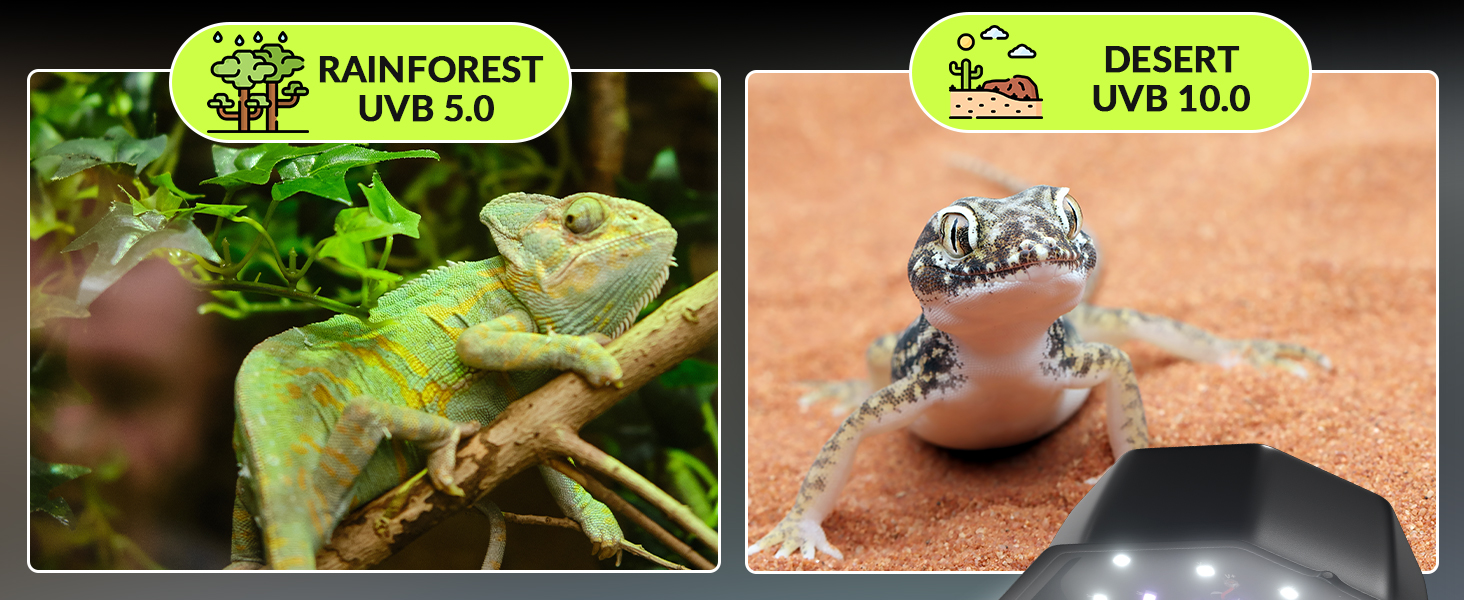 uvb reptile light fixture