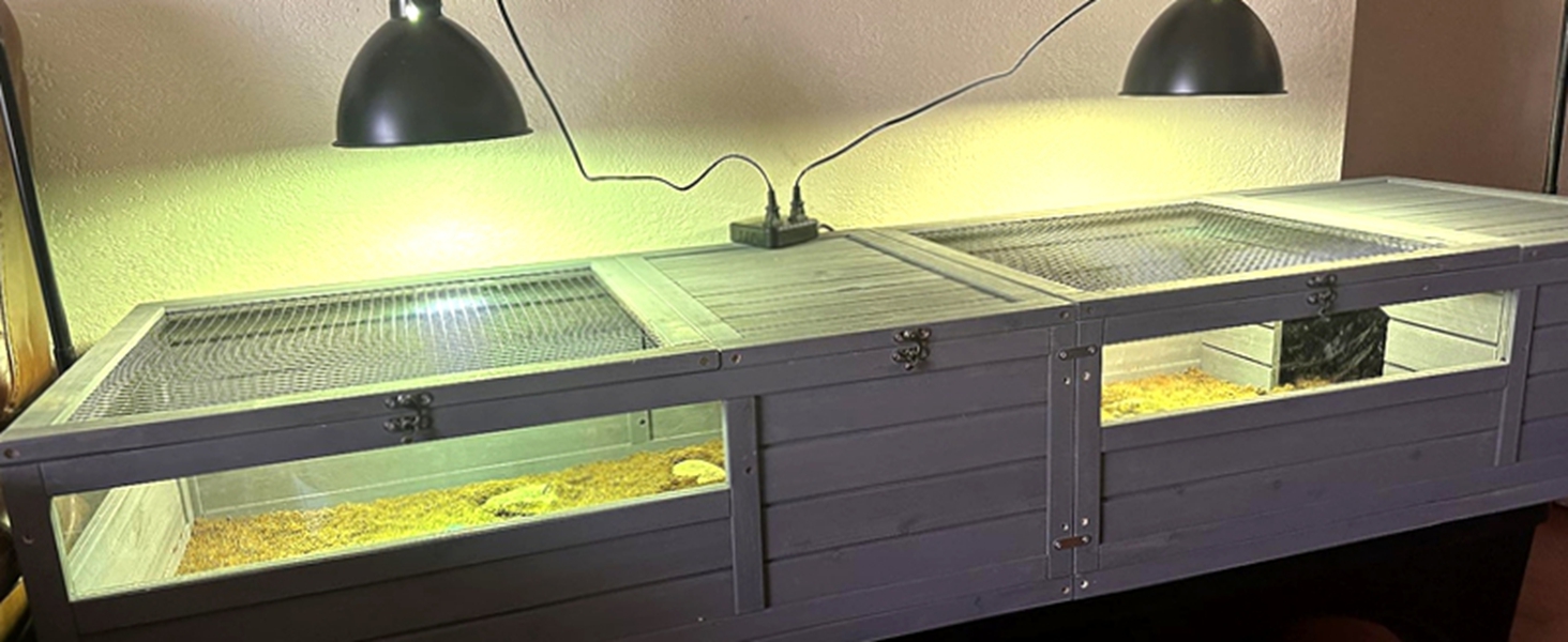 tortoise cage