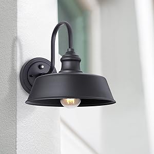 10 gooseneck barn light