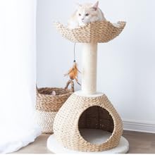 Small manufacture image 6