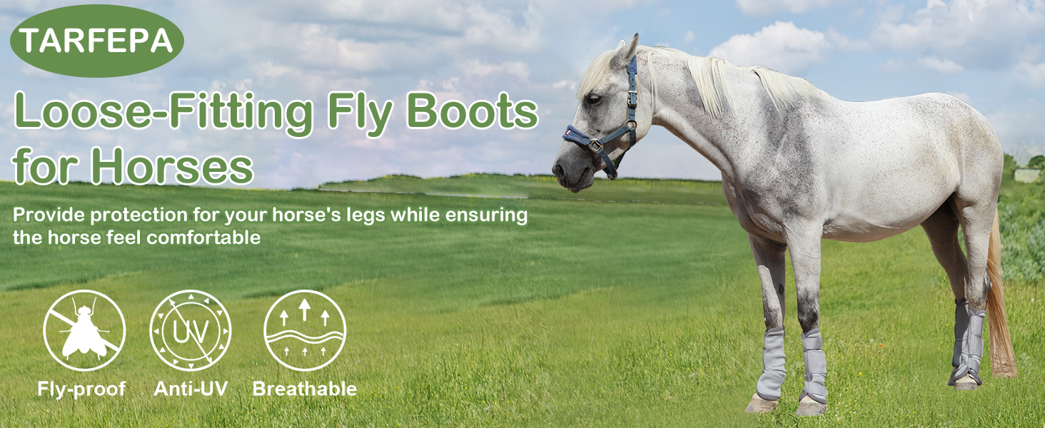 fly boots for horses set of 4