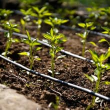 Small manufacture image 1