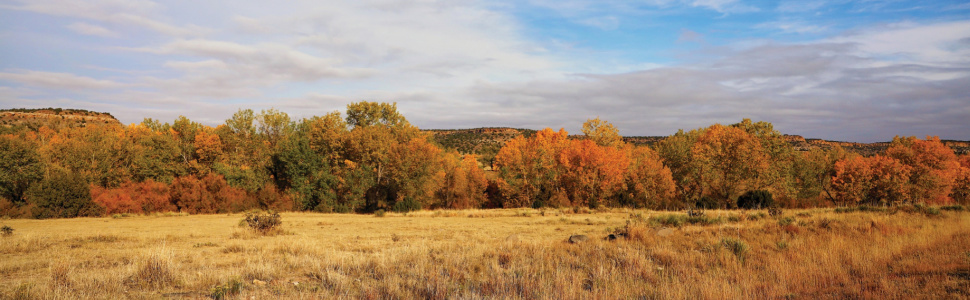 hiking adventures, oklahoma hikes, Oklahoma bison, bison preserve, nature hikes