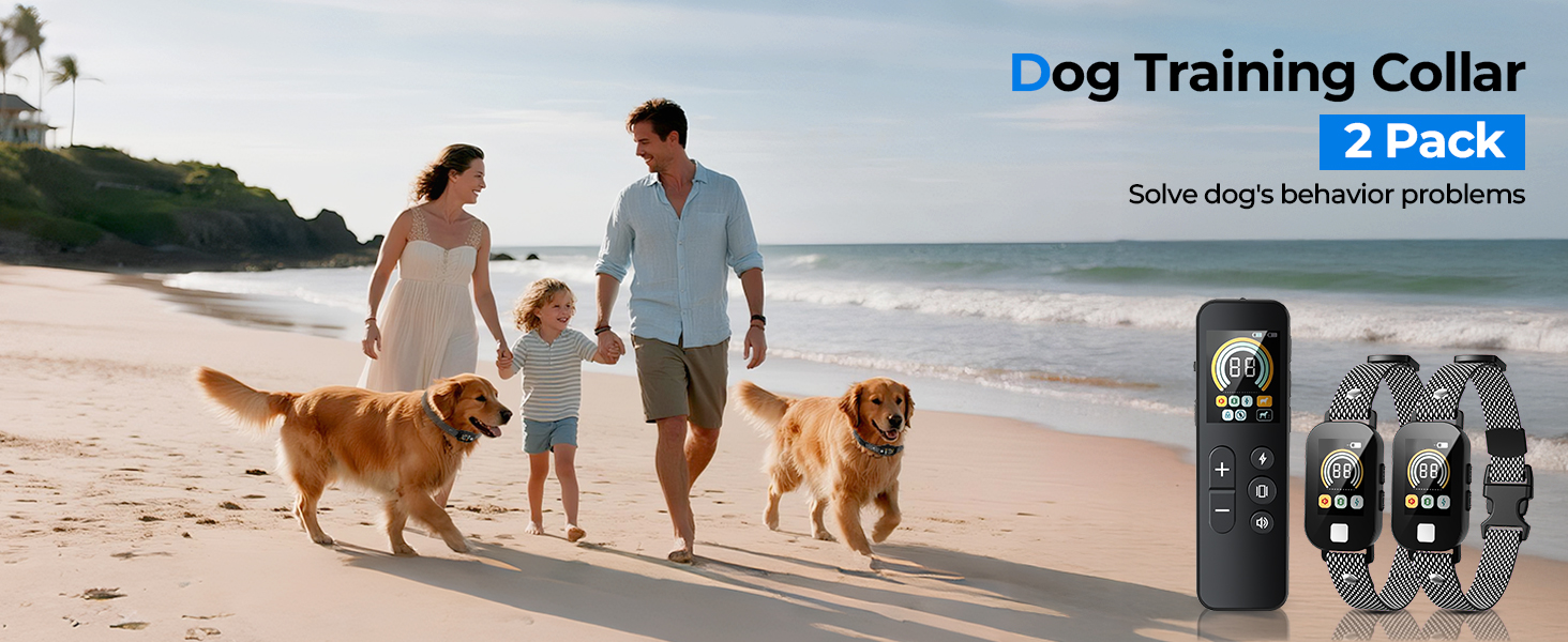 shock collar for dogs