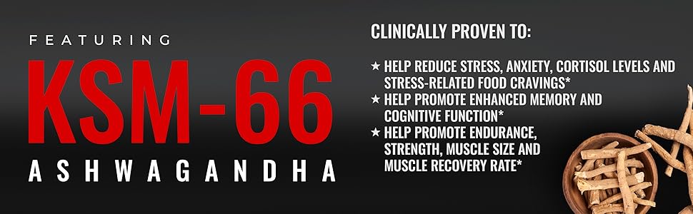 ksm 66 ashwagandha vitamins