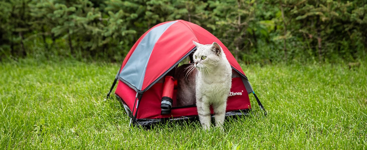 red cat tent