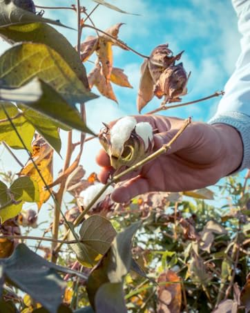 100% Egyptian Cotton Sheets King Size | 400 Thread Count | CEA Gold Seal Certified | Ultra Soft