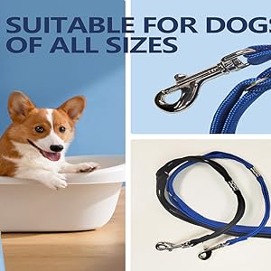 Suction Dog Bath Restraint Leash
