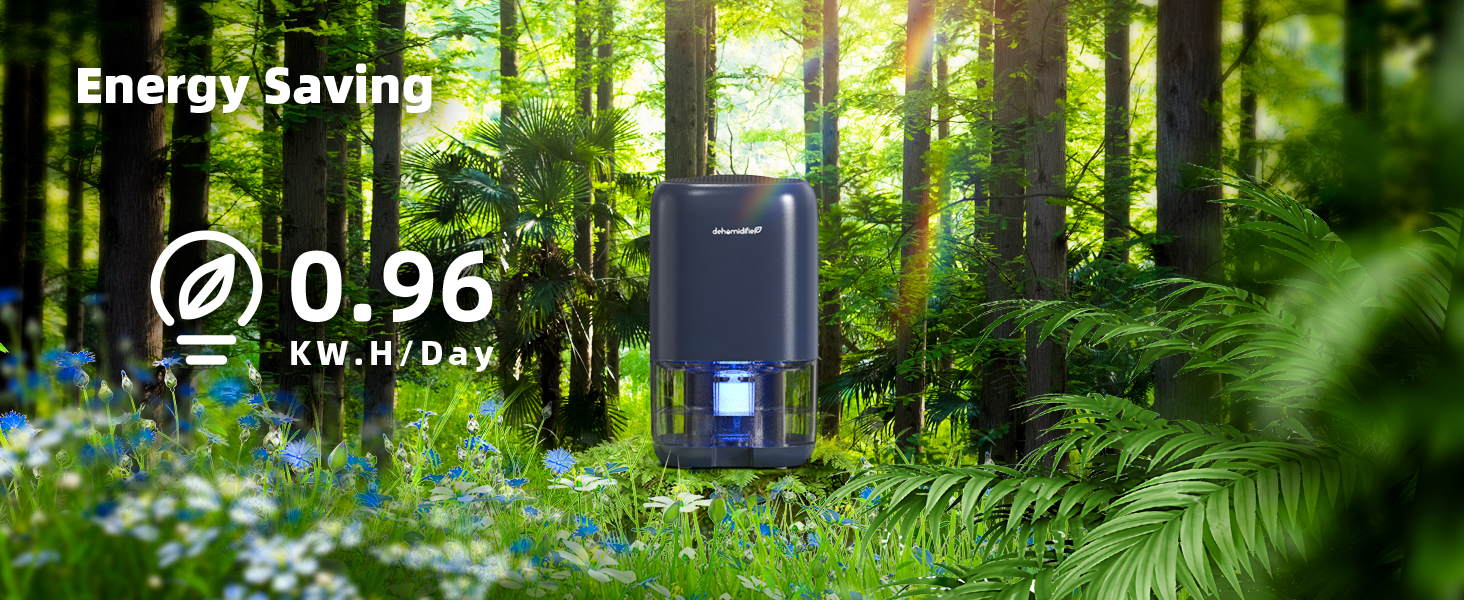 dehumidifier small