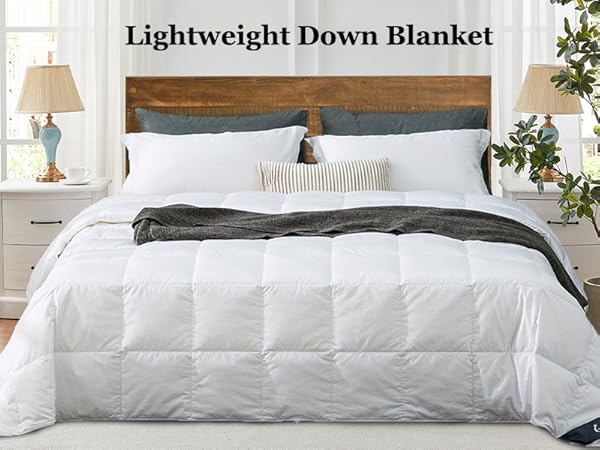 Amazon.com: Globon Down Blanket California King Size, Extra