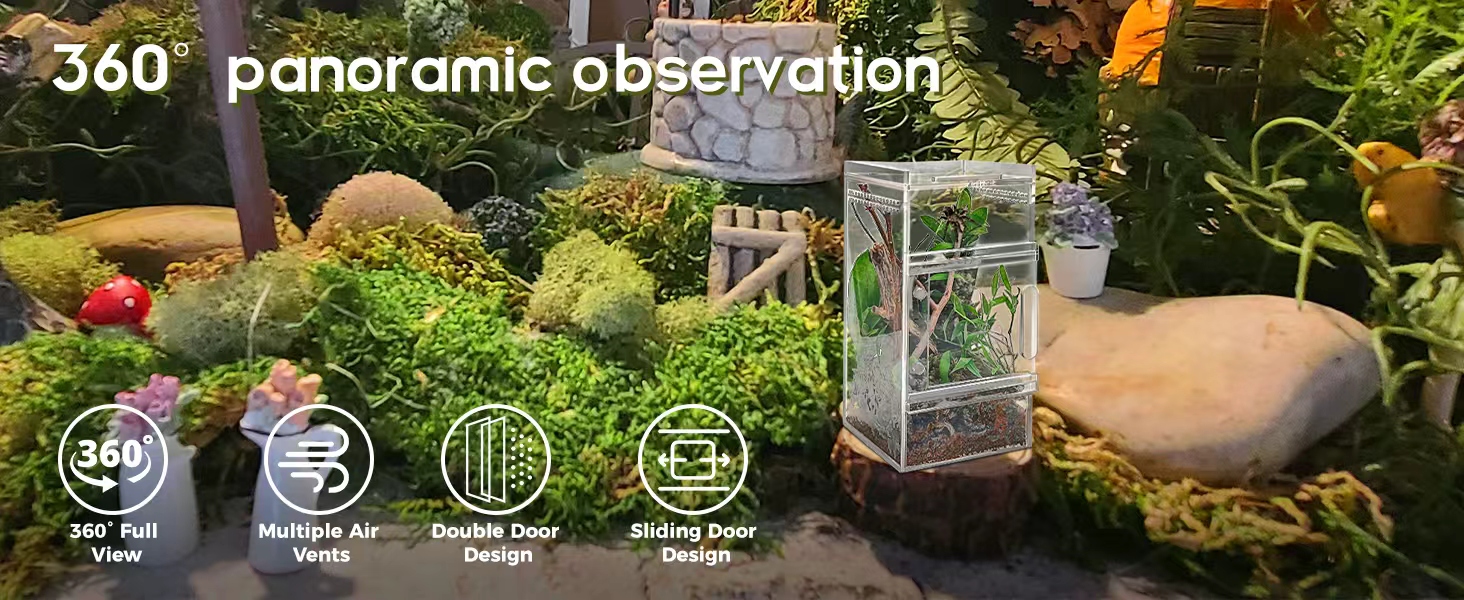 jumping spider enclosure