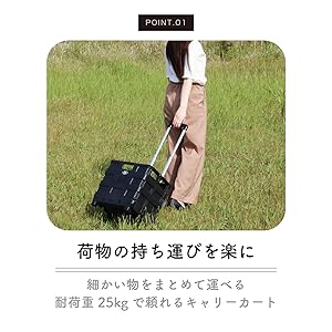 Amazon.co.jp: 不二貿易 キャリーカート 折りたたみ