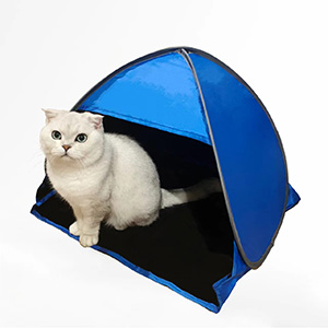 Small Tent