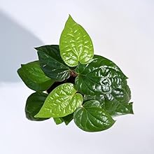 Small manufacture image 4