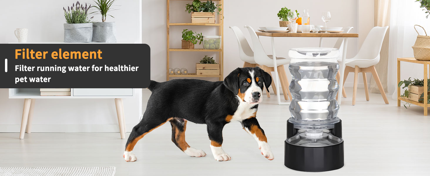 black pet water feeder