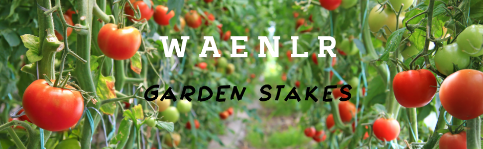 garden supports for plants