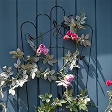 Garden Trellis for Climbing Plants