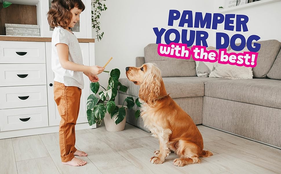 pet lab probiotic chews for dogs dog dental treats soft dog treats dog treat training treats 