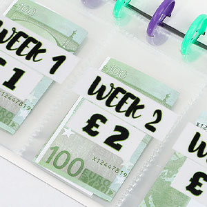 money saving challenge binder