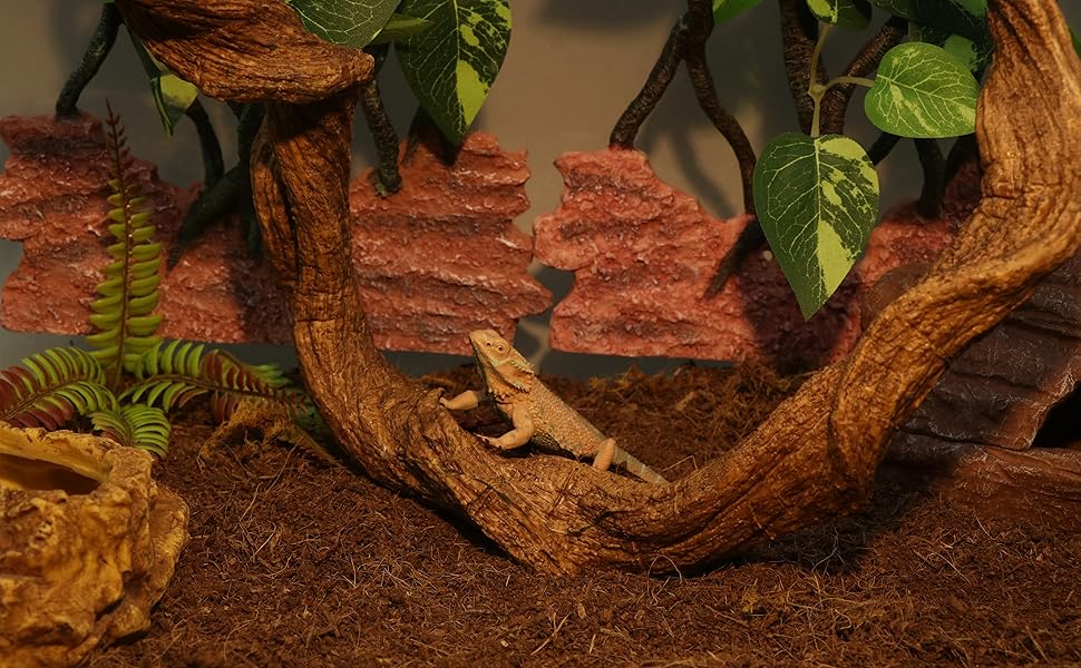 reptile branch