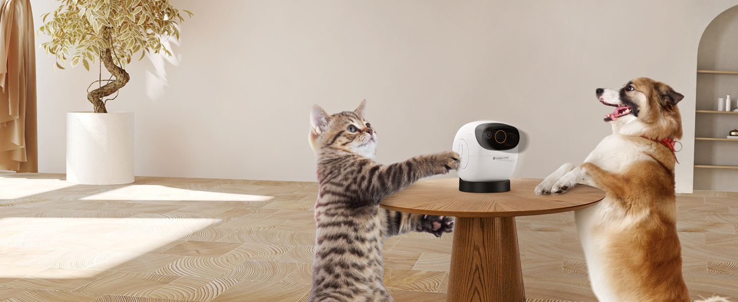 DOG CARE Pet Camera Treat Dispenser with Dog Button, 360