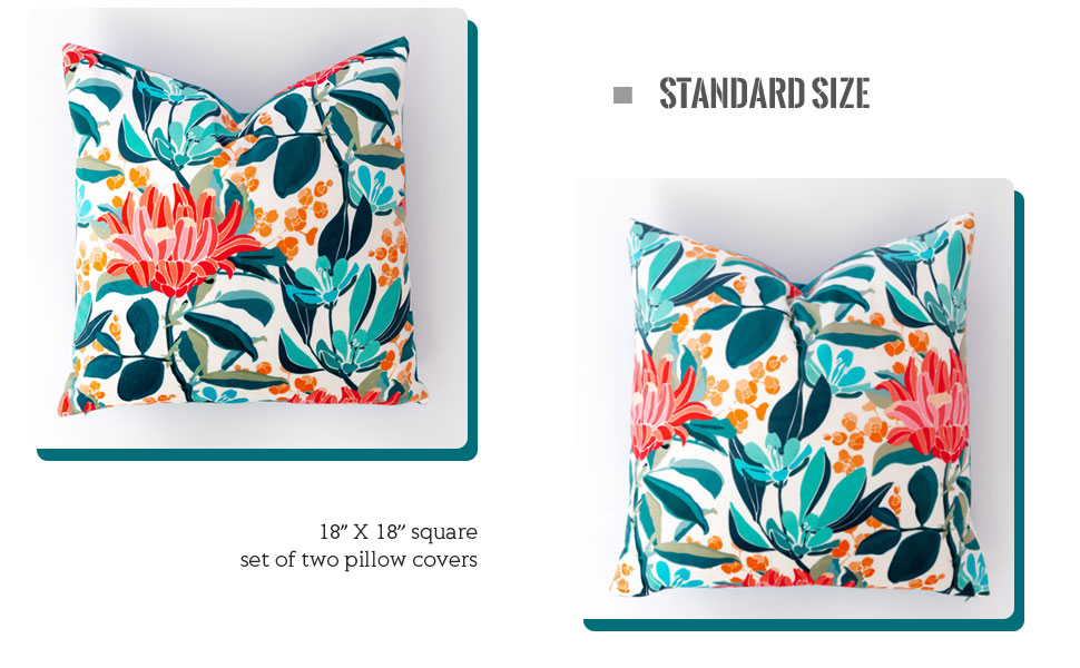 VROOMIUM Throw Pillow CoversTeal Velvet Pillow Covers 16x16 inches for Couch Set of