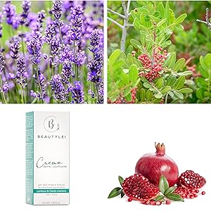 BEAUTYLEI, SKIN PURIFYING CREAM, LAVENDER, LENTISK, MILK THISTLE, POMEGANO