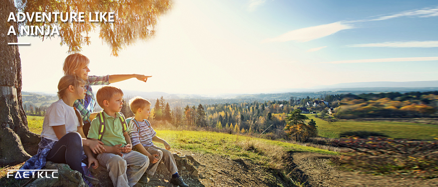 Swing for Kids Disc Swing Tree Swing Set Accessories Rope