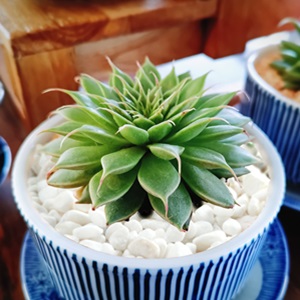 Small manufacture image 3