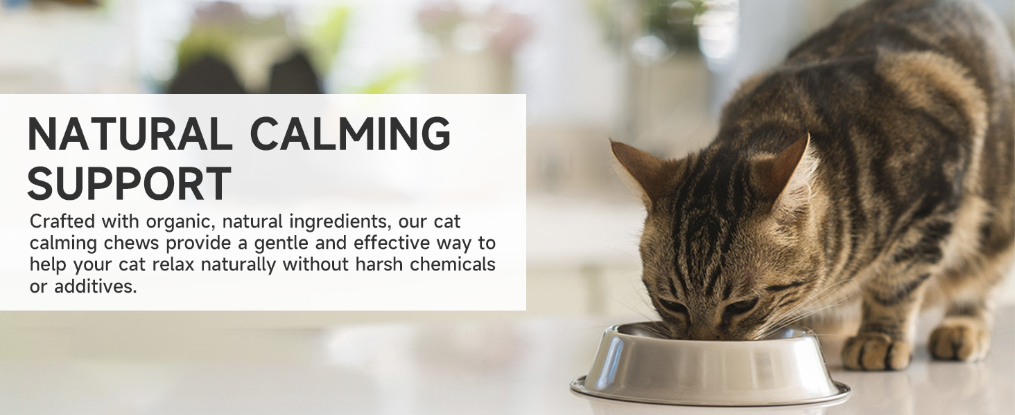 hemp calming chews for cats