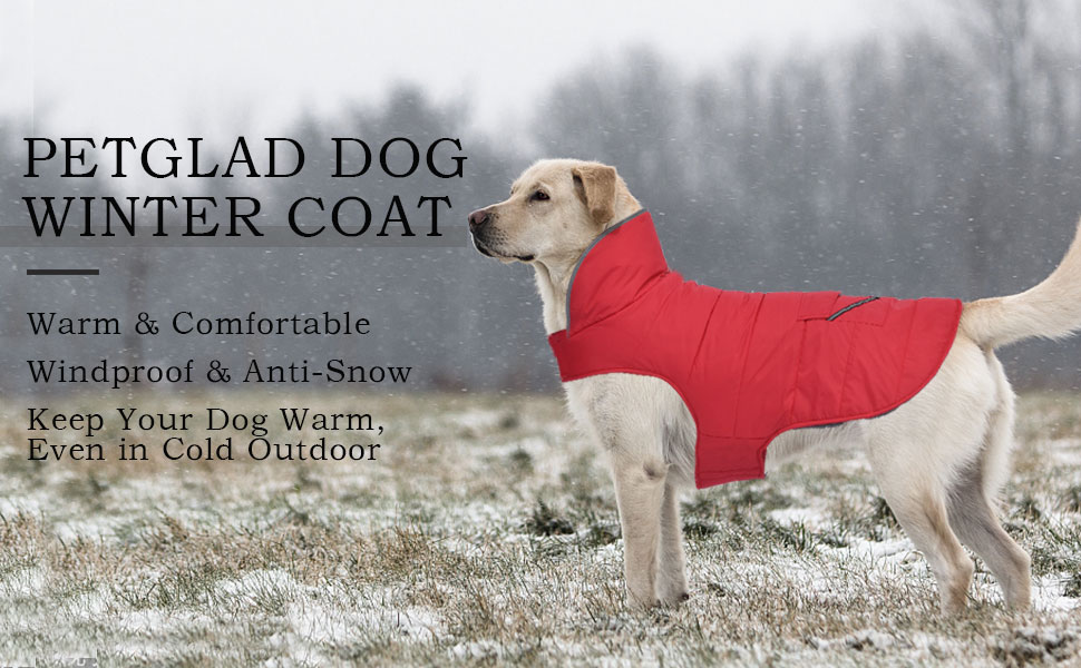 Dog Winter Coat, Dog Jacket with Pocket and Reflective Strip, Windproof